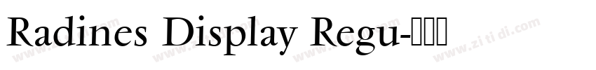 Radines Display Regu字体转换